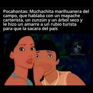 Meet your Posher, Lisandra